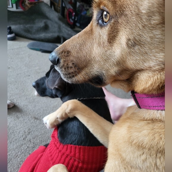 Meet your Posher, Jenni - Picture 6 of 6